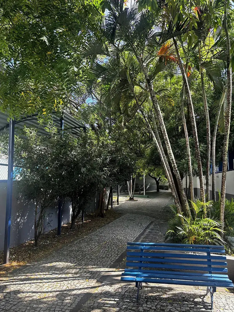 Espaço verde arborizado do Hipócrates Zona Sul